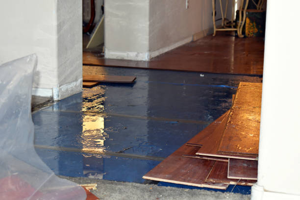 Professional Sewage Cleanup technician working in Renault, IL